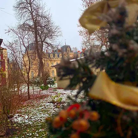 Siesta On Stefanyka * Lviv